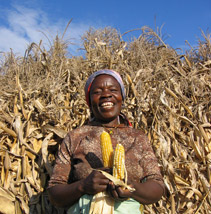 A lady stands infront of maize